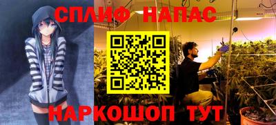 молекула духа Малгобек
