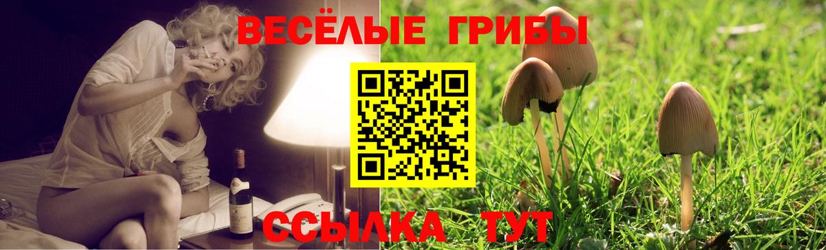 Псилоцибиновые грибы мухоморы  Вход с VPN  Усолье-Сибирское  Псилоцибиновые грибы MAGIC MUSHROOMS 